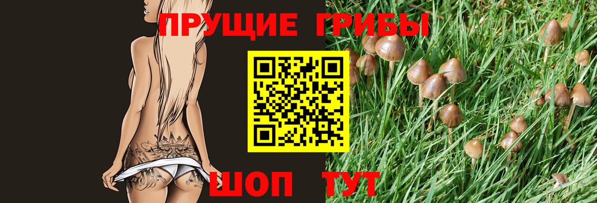 Псилоцибиновые грибы MAGIC MUSHROOMS Знаменск