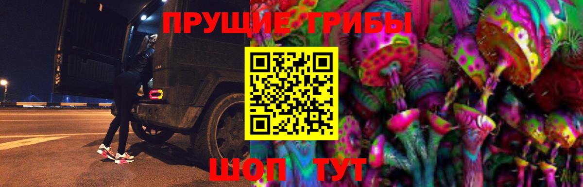 наркотики  Псилоцибиновые грибы мухоморы  Знаменск  Вход с VPN  Псилоцибиновые грибы мухоморы 